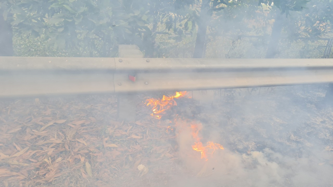 z3188344677040_6701bb88f9e91d40cd7aaf88b0395b48