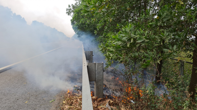 z3205184788567_33e9b3a72dea16594100655d4304b62e