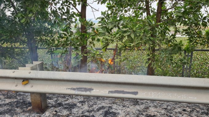 z3205184792885_377a516a1326688c137062e6d468f1f9