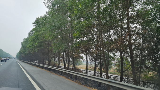 z3205184801129_2a3eca9741a5090d207312620b97d743