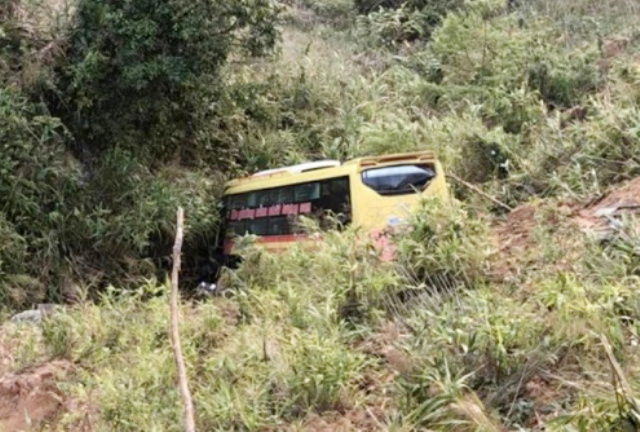 175623-2- xe roi xuong deo lo xo