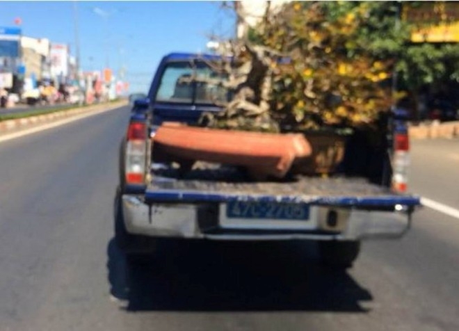 Yêu cầu báo cáo vụ xe công an chở quà Te