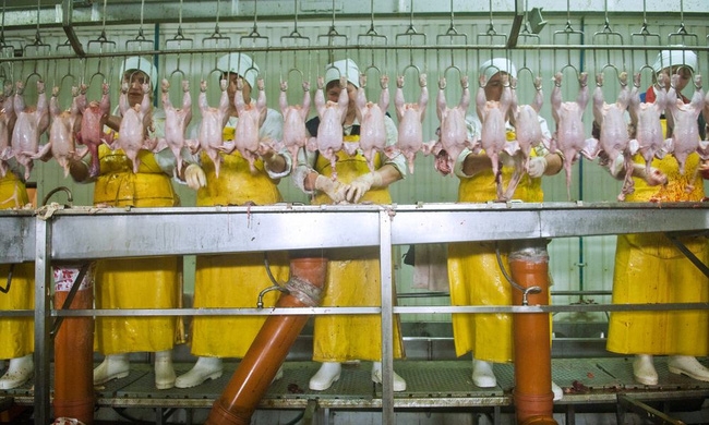 Công nhân Mỹ phải đóng bỉm vì không có thời gian đ