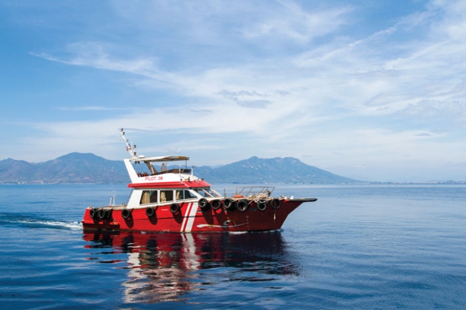 Ban hành Thông tư quy định về đào tạo, chu