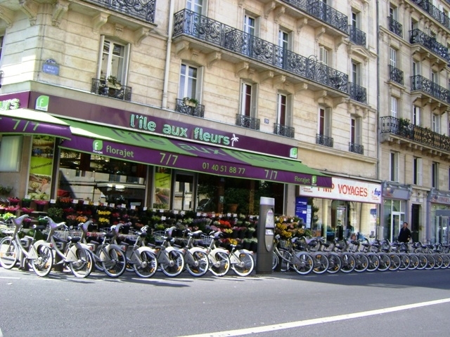 Xe điện và chính sách phát triển giao thô