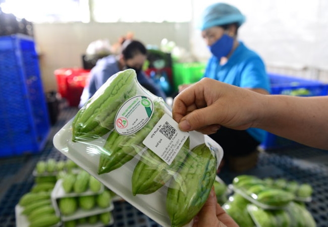 3 Xe ôm 'môbai', tạp hóa 'Zalo' và những ng