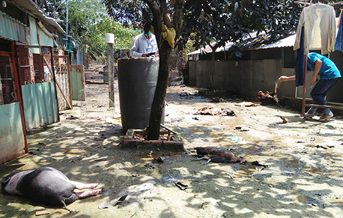 Vụ rò rỉ khí NH3