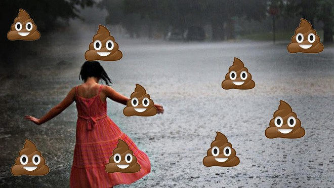 Người dân bị phân rơi vào đầu vì máy bay xả bể phố