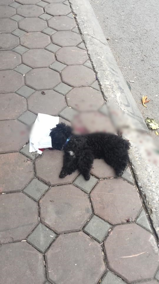 292161983721523299368554245838900267843584n-152118