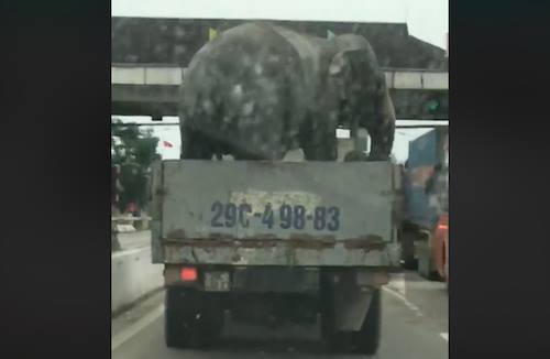 29468111_1786106961685079_5347121175558034746_n