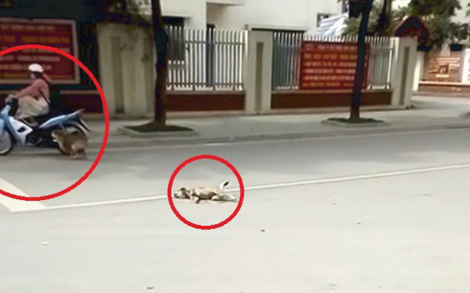 photo1522916611870-1522916611870790529189