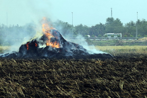 Đồng Nai yêu cầu người đốt đồng bên c