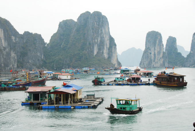 2 Du khách từ Cát Bà thò mặt sang Hạ Long là bị đu