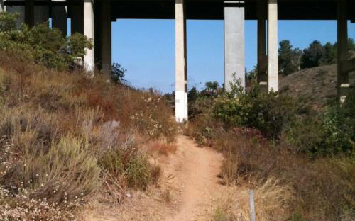 Dia-diem-tim-ra-chiec-xe-bo-ro-9193-8126-152834355