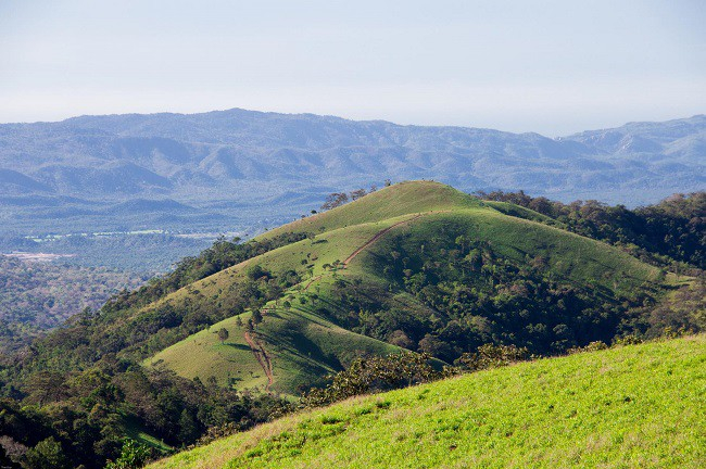 photo-1-1528693485807386989886