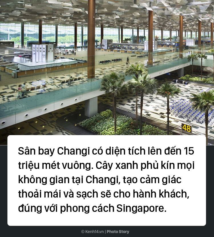 Đến sân bay đẳng cấp nhất thế giới, dù có bị delay