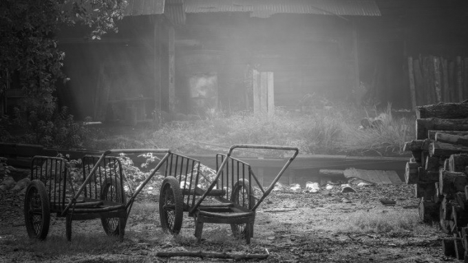 photo-4-15316603704811919240429