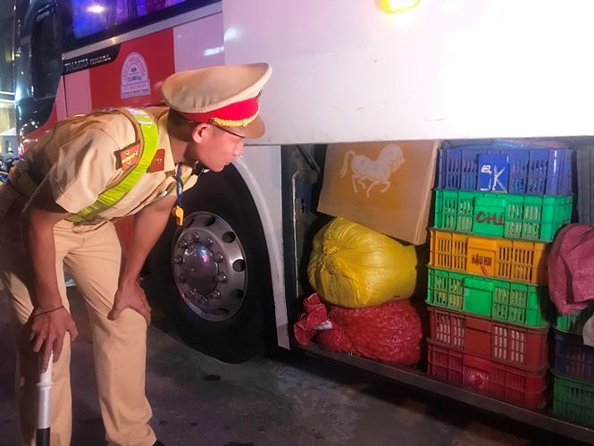 Hàng ngàn con rắn còn sống trên xe giường nằm làm 