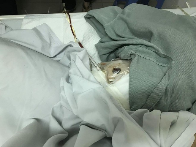 photo-2-1541032966350739759392