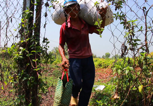 MVI-9668-31-6300-1542350381