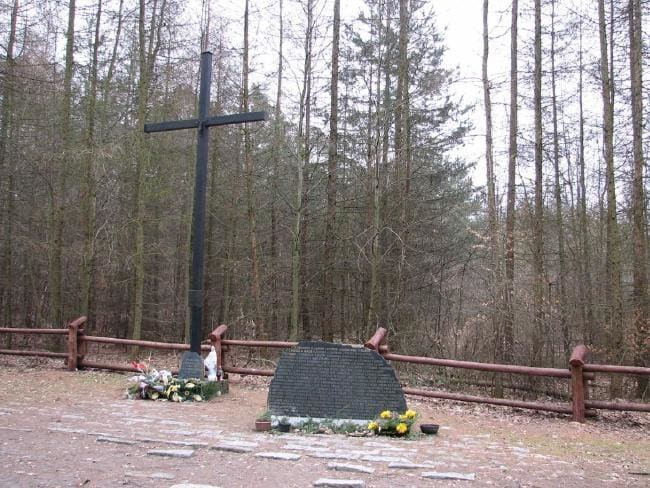 photo-1-1542796348496716246436