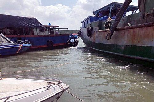 chim-tau-3633-1552981769