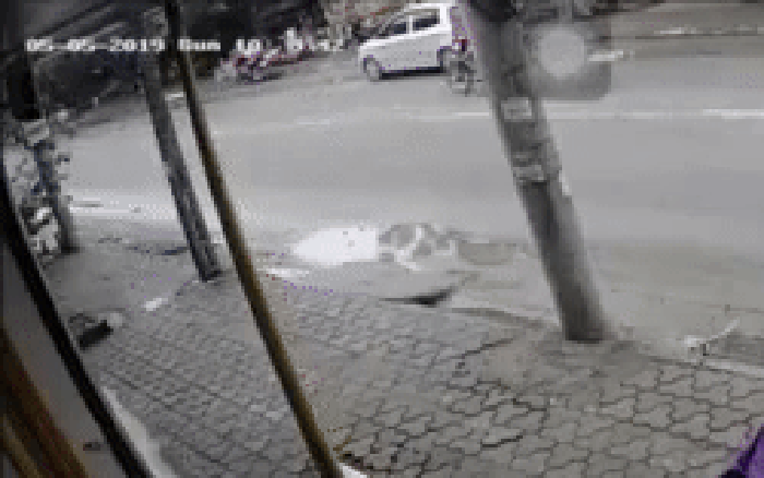 ezgif-2-09240a2bd5b1-1557120817502384938838-crop-1