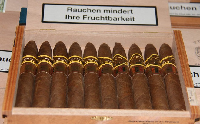 photo-1-15585348654621087158173