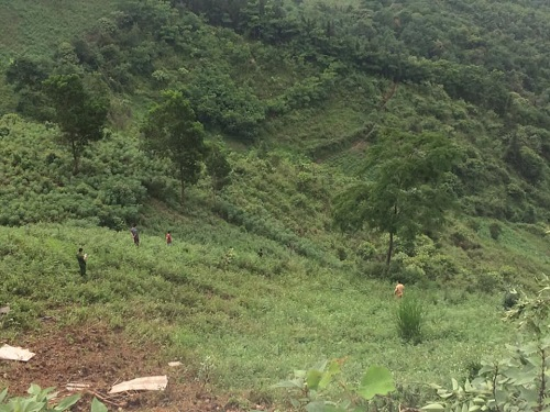 61142341-208275270147134-80482-3891-4736-155876493