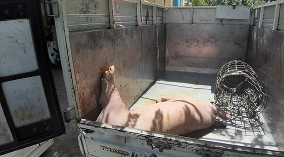 20190605095012vvpp-15597217894931769793166-1559721