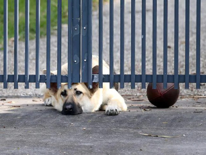 ezgif-4-025cdb80d1c2-1559899024646224083129