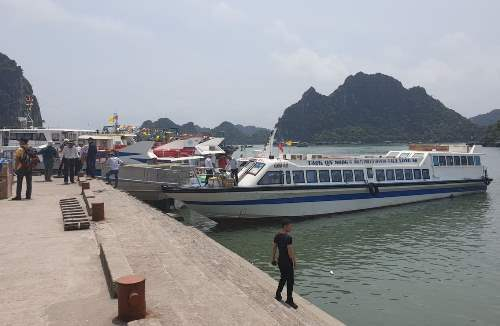 Cai-rong-1409-1562125038