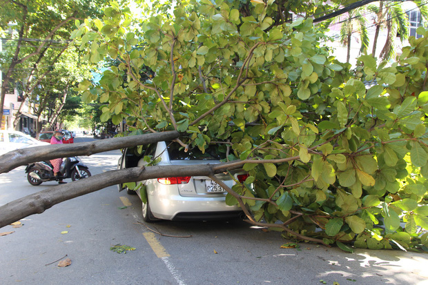 img4768-1568286496812650105166