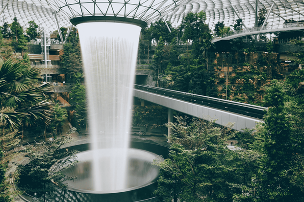 photo-1-156982298395022293458