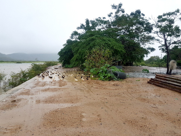 20191016-hien-truong-15711983336751565348233