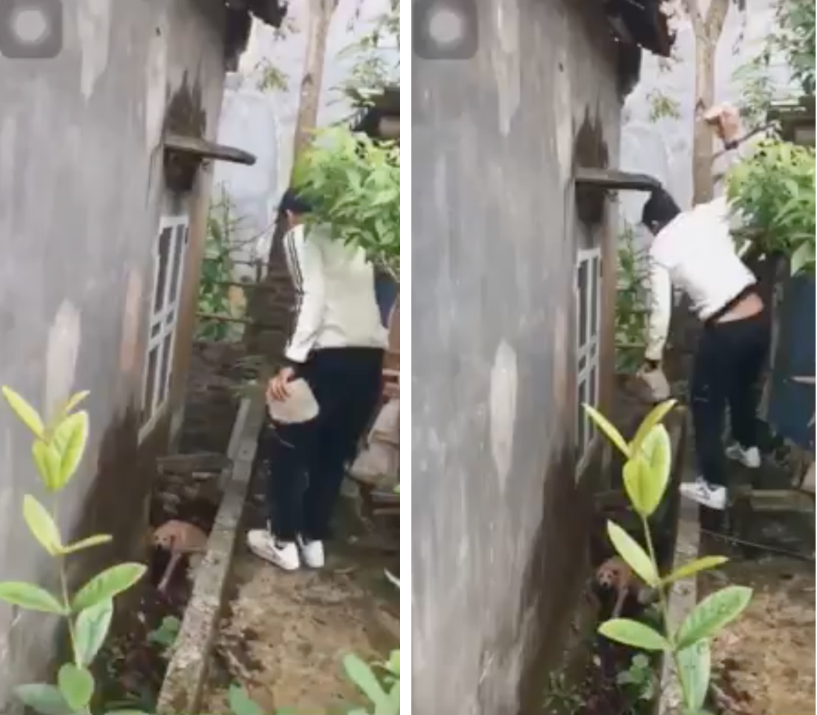 Screen Shot 2019-11-03 at 11.21.55