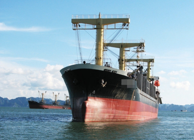 taubienvietnam-1578468331-width1208height874