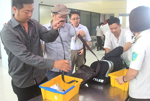 kiem-tra-1496-1440146360-9655-1444984955