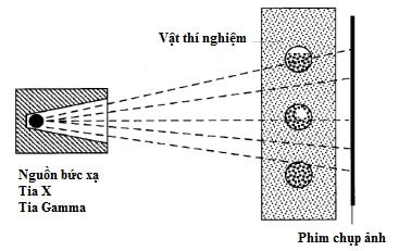 hinh21