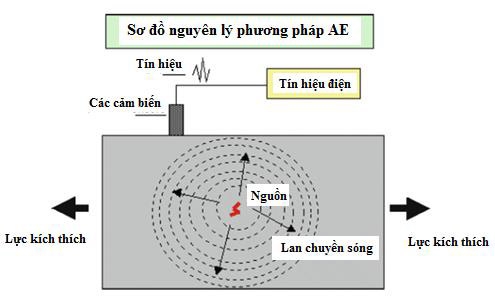 hinh22