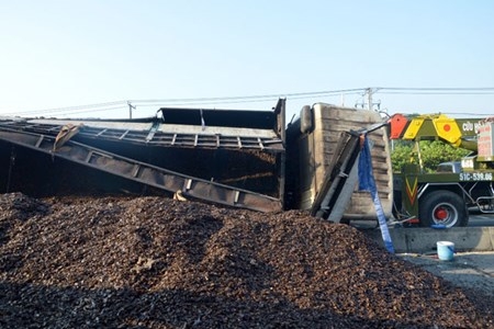 vxamvo_hat_dieu_anh_3_fcgf