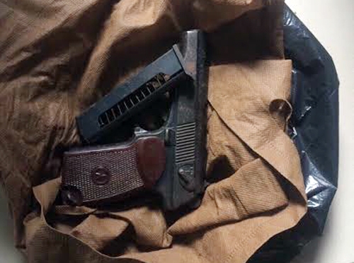 sung-6245-1468458213