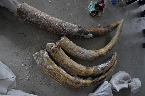 20161201223559-anh-1