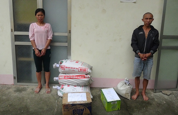 c885fc60-8478-42e3-9c69-3ed3b5db9fed