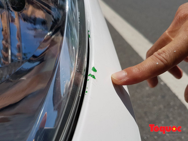 toquocvn_anhchi2_hyjs