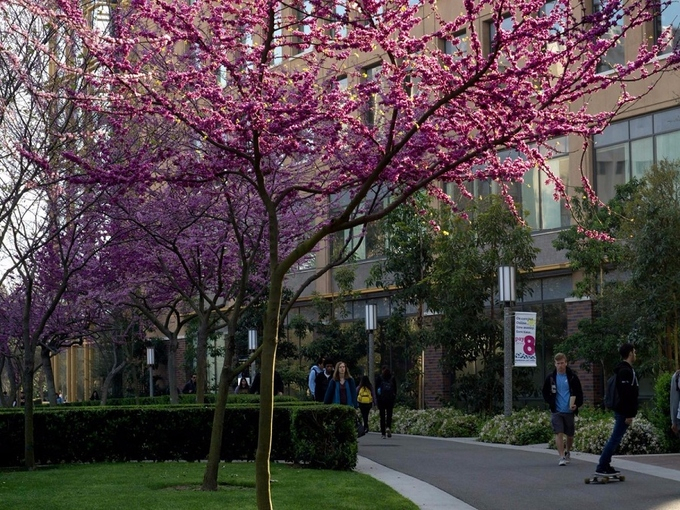 university9