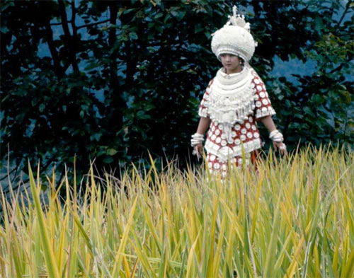 Untitled-4-7719-1509440366