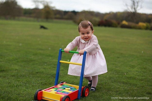 hoang-gia-anh-2-jpg-6783-1509938654