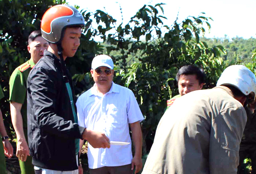 an-mang-3733-1512979526