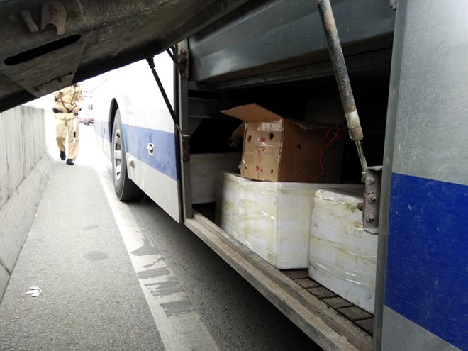 27993953_1571140436306916_1066336389_n_1